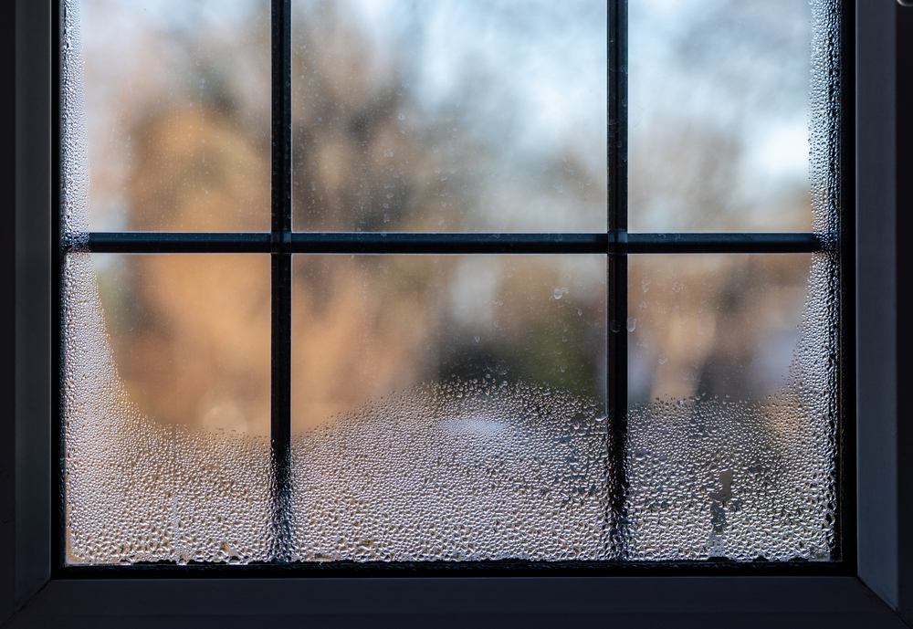 Cold Weather and Condensation: The Hidden Link Between Moisture, Mold, and Asbestos