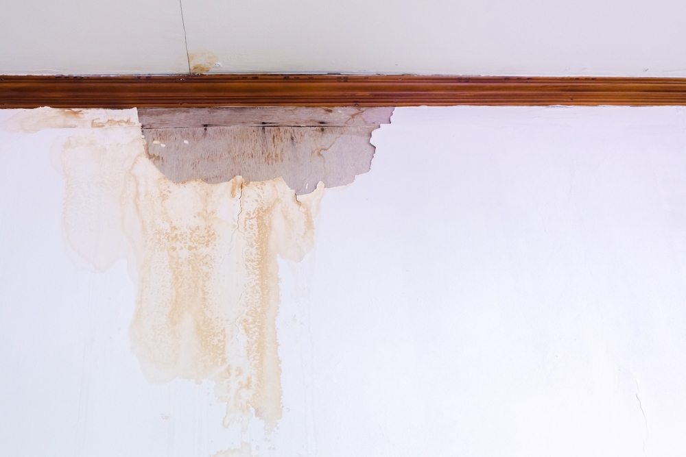 Water,damaged,ceiling,roof,,brown,stain,,office,building