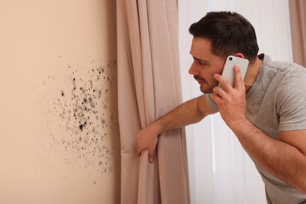 Mold,removal,service.,man,talking,on,phone,and,looking,at