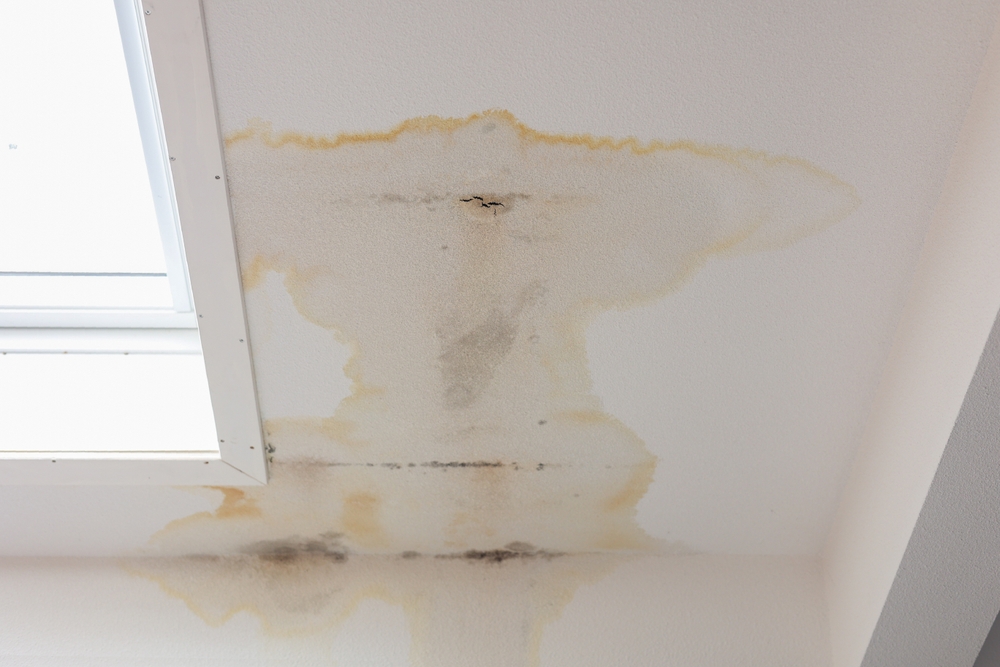 Not All Water Damage Is the Same: Understanding the 3 Categories of Water