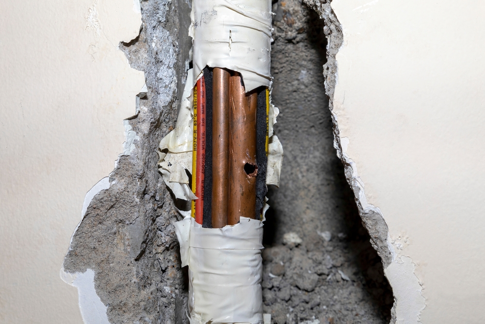 Top Warning Signs of Hidden Water Damage in Your Home or Business