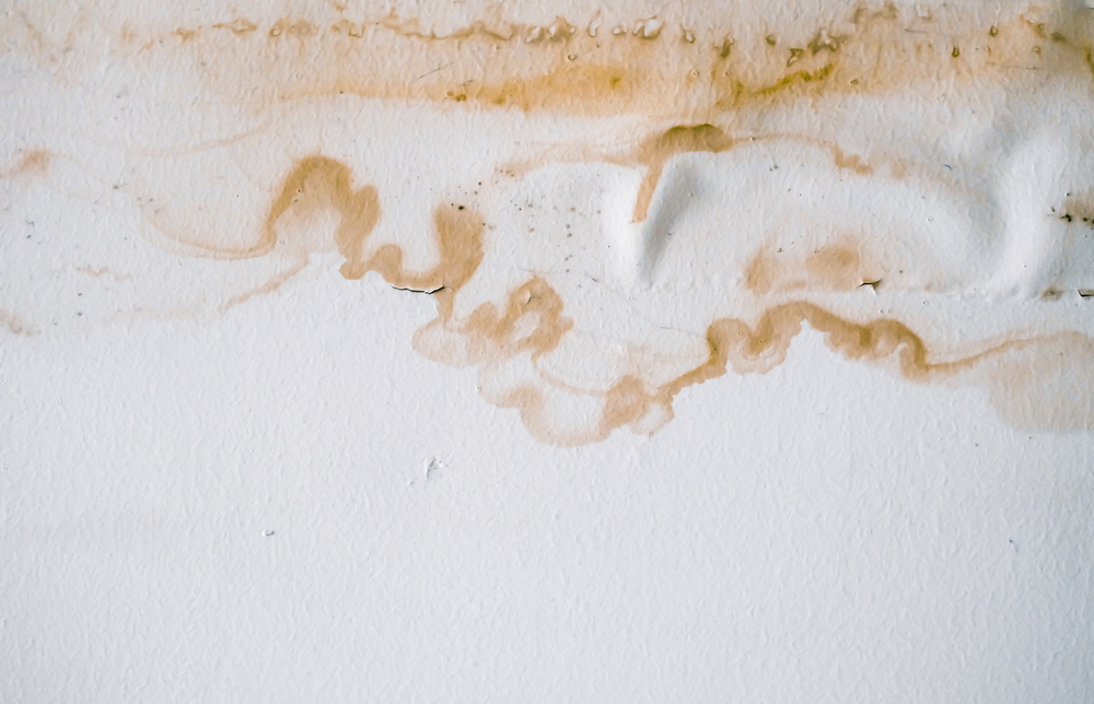 Water,damaged,ceiling,roof,,brown,stain,,office,building