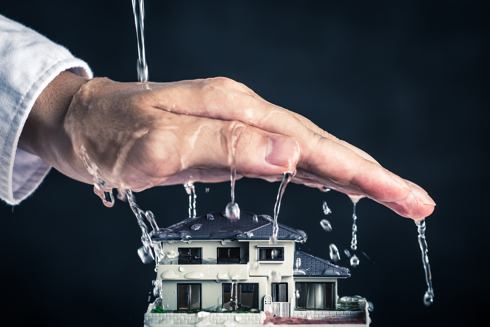 Protection,and,housing